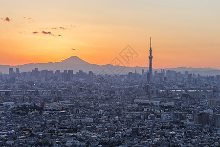 日本东京市游客公吨干线新宿甲板火车建筑物建筑市中心旅行图片