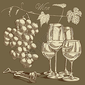 葡萄酒背景阴影反射玻璃藤蔓绘画酒杯叶子管子插图床单图片