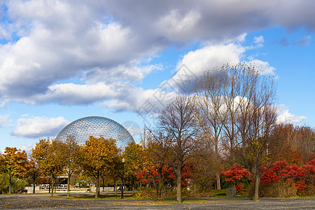 加拿大蒙特利尔市秋季 加拿大建筑学季节景观树叶公园日出吸引力市中心蓝色天际图片