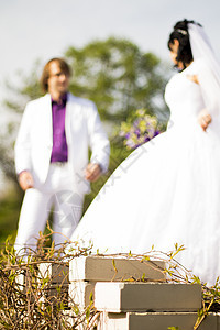 攀爬植物的焦点和背景中的对数夫妻女性妻子快乐婚姻男性裙子丈夫幸福婚礼图片