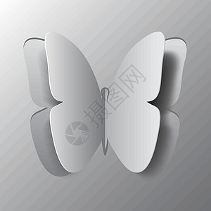 折纸蝴蝶的概念切断纸张 抽象的反言风格贴纸标签展示装饰昆虫阴影剪纸翅膀插图图片