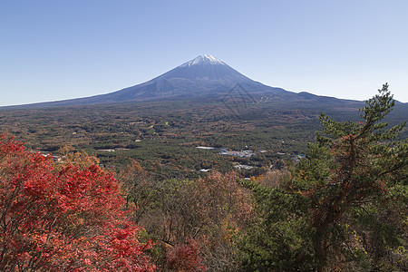 日本大阪城公园日本秋天福吉山树叶宝塔商事吸引力隧道反射日落农场地标天空背景