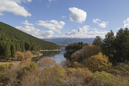 日本秋天福吉山天空农场商事公园吸引力隧道斋子红叶游客宝塔图片