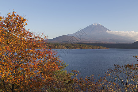 日本秋天福吉山吸引力旅行斋子天空反射地标游客公园红叶商事图片