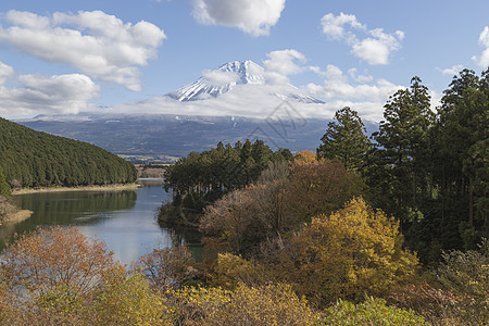 日本秋天福吉山农场斋子宝塔天空树叶反射日落地标游客走廊图片