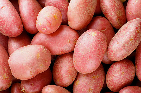 红土豆背景生食土豆健康饮食画幅蔬菜红色食物素食图片