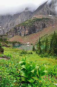 高山草原 湖泊和山脉的景观图片