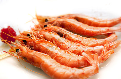 烤虾食物白色盘子贝类香菜美食小吃对虾餐厅宏观图片