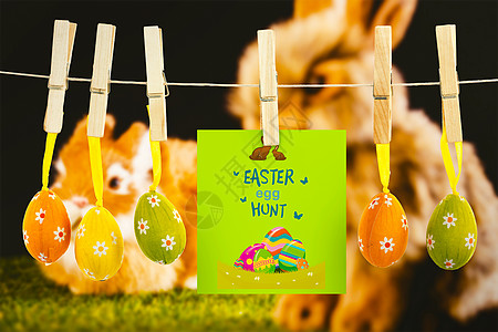 复活节鸡蛋狩猎图形综合图象巧克力挫败活动糖果兔子玩具动物填充宠物糖果类图片