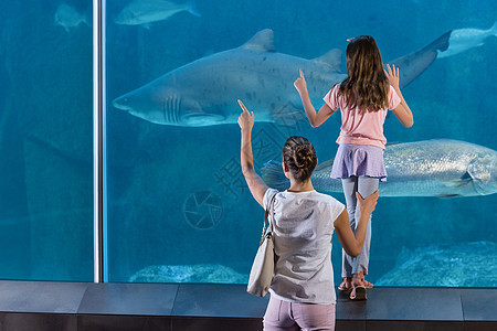 幸福的一家人看着鱼缸闲暇女士环境海上生活手势水族馆感情女性母亲蓝色图片