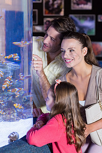 幸福的一家人看着鱼缸快乐女性蓝色生活海上生活女孩闲暇场景男性环境图片