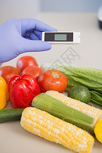科学家在蔬菜上使用装置基因生物食物改造玉米食品科学手套防护技术图片