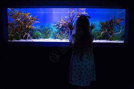 年轻女人摸鱼罐头蓝色生物学好奇心动物手指环境手势女性鱼缸海上生活图片