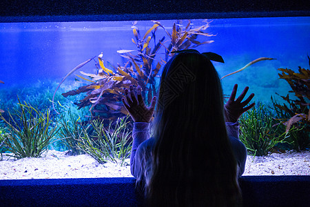 年轻女人摸鱼罐头女性环境生活手指鱼缸童年女孩蓝色生物学水族馆图片
