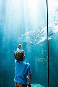 青年男子用一个照明箱指鱼图片