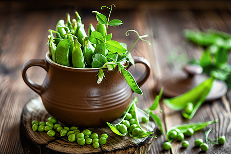 绿豆豆类水果美食桌子种子团体养分收成食物厨房图片