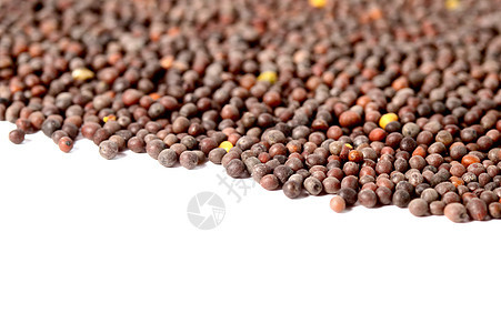 棕色芥子种子芸苔粮食香料调味品白色植物营养食物背景图片