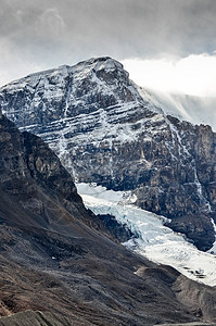 哥伦比亚冰川和山峰的景象 Jasper NP图片