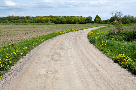 瑞典乡村情结碎石路的黄花背景