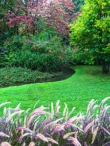 美丽多彩的花园 有绿草坪图片