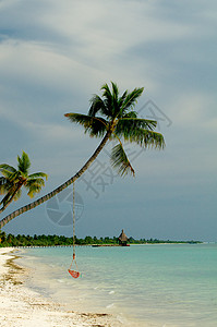 海洋海滩自由场景蓝色海景气候热带旅行异国海岸线吊床图片