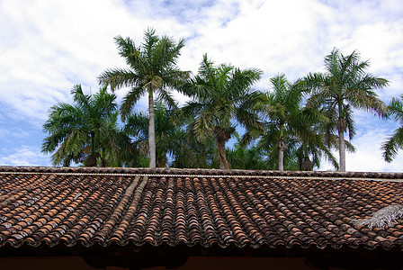 尼加拉瓜格拉纳达屋顶图片