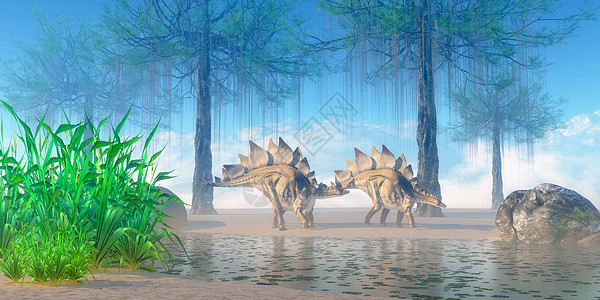 Stegosaurus早报草食性蜥蜴动物爬虫古艺术食草恐龙生物泰坦盔甲图片