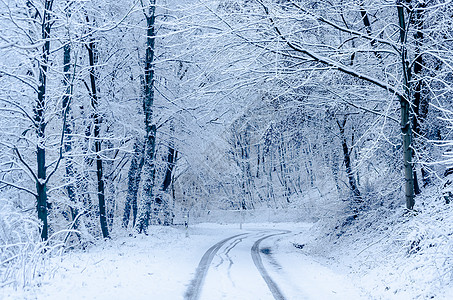 冬季公路小路暴风雪风景汽车寂寞阳光粉雪场景风光效果图片