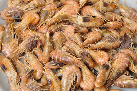 西餐海鲜普通虾食物海鲜动物海洋脊椎动物美味甲壳甲壳纲背景