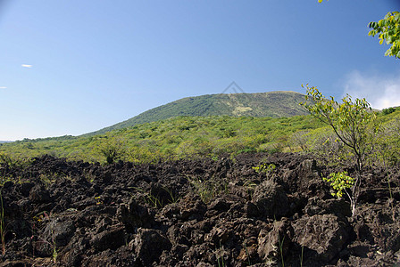 尼加拉瓜的岩浆流动石头森林荒野地质学顶峰锥体风景岩石火山木头图片