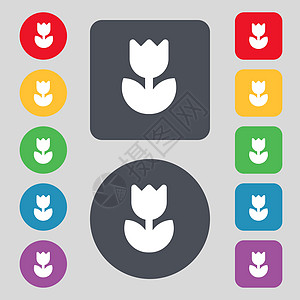 花朵 玫瑰图标符号 一组有12色按钮 平面设计 矢量图片