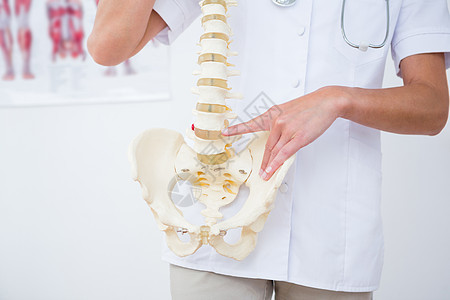 医生显示解剖脊椎工作服从业者实验服务职业骨科人骨解剖学手势女士背景图片