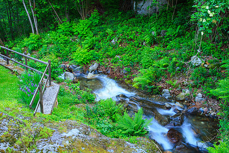 激流瀑布流动健康公园石灰石运动旅行环境植物叶子图片