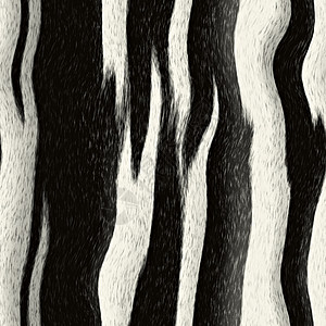 Zebra 条形模式图片
