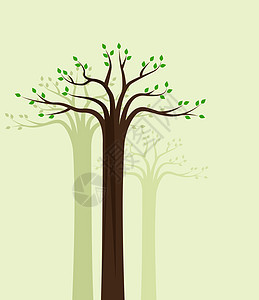 树木 10环境生态叶子木头插图装饰森林绿色季节生长图片