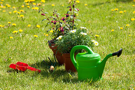 园艺工具和草帽 在花园的草地上稻草家政工作植物学植物靴子家庭作业家庭手套紫色图片