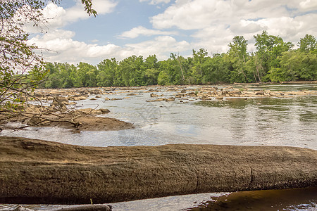 南卡罗莱纳州立公园周围的景象绿色白色历史性石头木头公园岩石百合通道蜘蛛图片