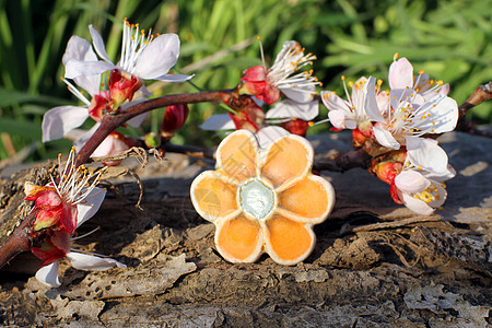 带杏花花的手工制作粘土花环图片