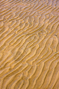 在拉普拉塔河沿岸纹理和弯曲线支撑小山黑色海滩白色弯曲低潮棕色海浪海岸线图片
