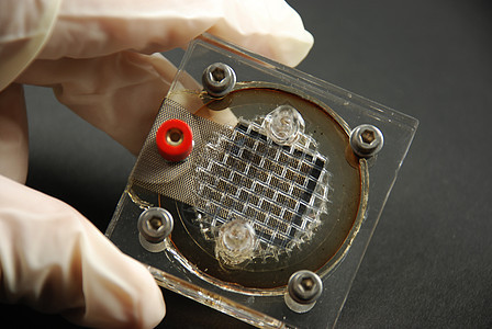 电子部件和器件实验室半导体电池化学微技术电脑发明宏观电子产品传感器图片