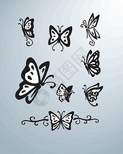 蝴蝶矢量说明昆虫动物插图翅膀手绘背景图片