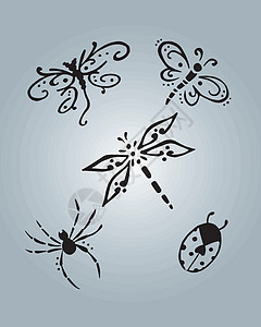 昆虫矢量说明插图瓢虫蜻蜓手绘蜘蛛臭虫背景图片