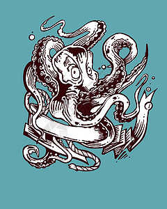 八角插图卡通片触手丝带气泡动物手绘章鱼海洋图片