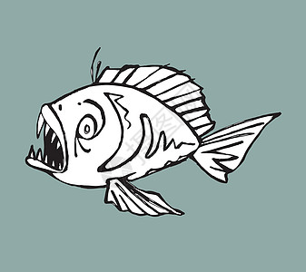 皮兰哈手绘食人鱼矢量插图动物图片