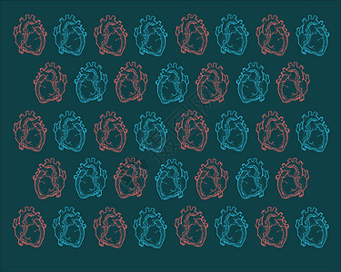 人类心脏一部分手绘身体动脉肌肉插图静脉背景图片