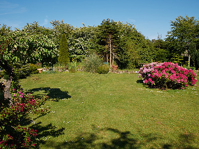 具有吸引力的英式英语风格正规花园旅行植物学公园生长植物群园艺草地植物季节叶子图片