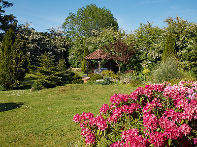 具有吸引力的英式英语风格正规花园园艺生长公园植物群衬套美化草地植物学院子花坛图片