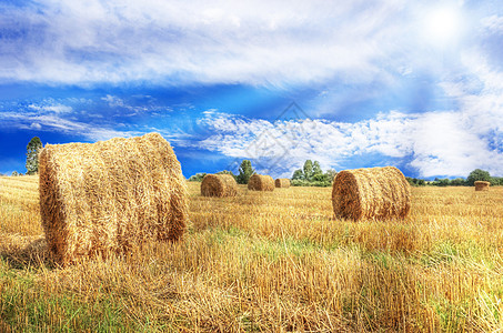 田野和天空绿色天气乡村蓝色草地环境农场草原太阳晴天图片