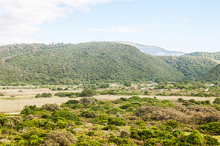 荒野国家公园灌木村庄营地爬坡植物小木屋小屋自然保护区风景水利图片