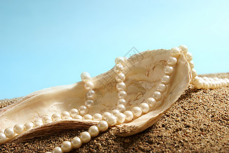 大洋珍珠海洋贝壳项链地面珍珠静物珠宝商宝藏女士宝石图片